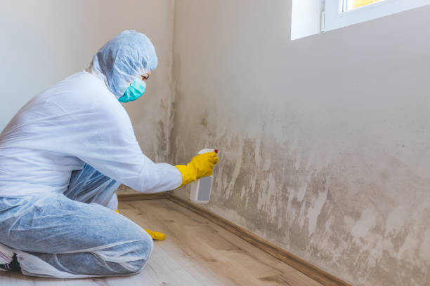 Mold Remediation specialist working in Cedar Park